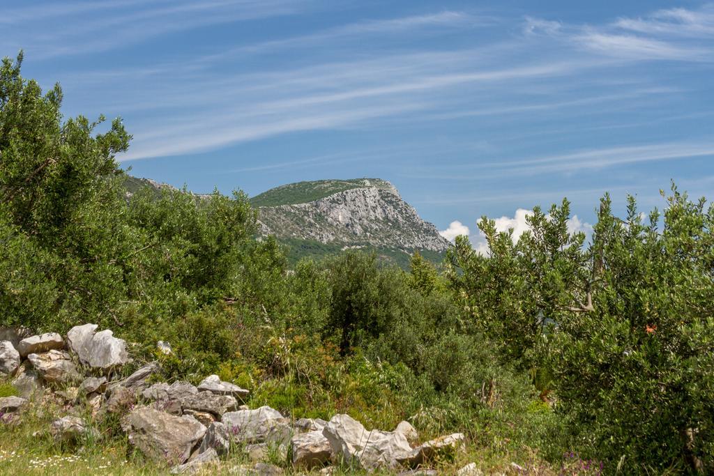 Panorama Holidays Kaštel Stari Eksteriør bilde